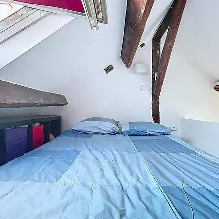 Appartement Charming 2-room In Le Marais